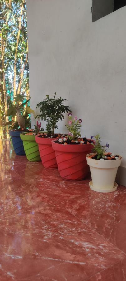 Mahabs Homestay Villa Mahabalipuram Exteriör bild